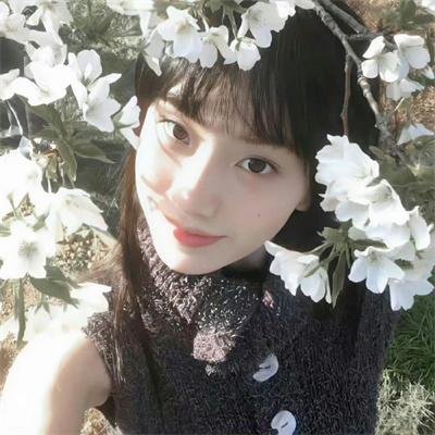 鱼跃在花见粤语